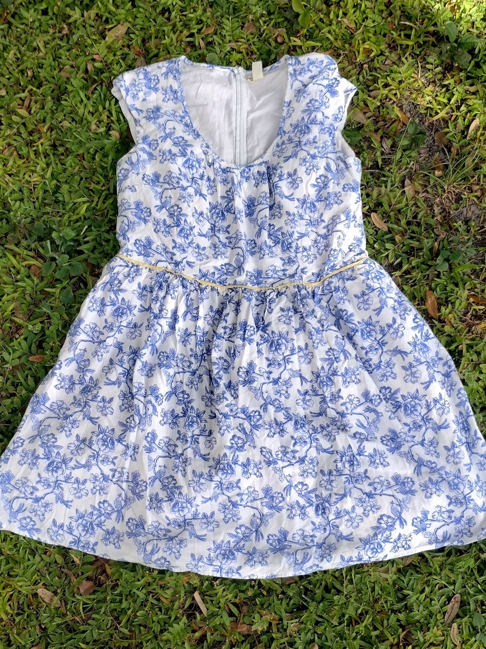 Matilda Jane Women's Fit & Flare Floral Dress Size 14 Knee-Length Cotton Lined